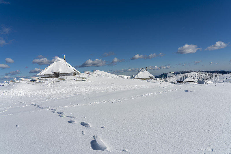 大牧场高原，Velika Planina在寒冷的冬天下雪